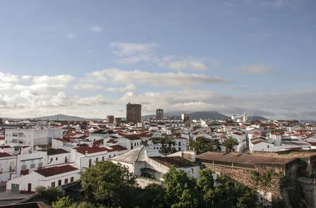 Culture et gastronomie à Olivenza (à partir de 2 nuits)