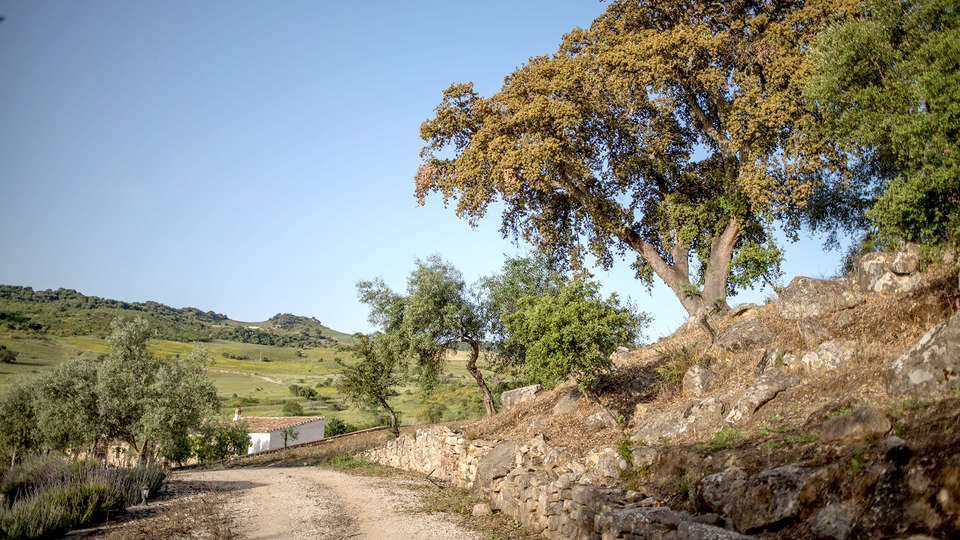 Hotel El Horcajo - Edit_Destination.jpg