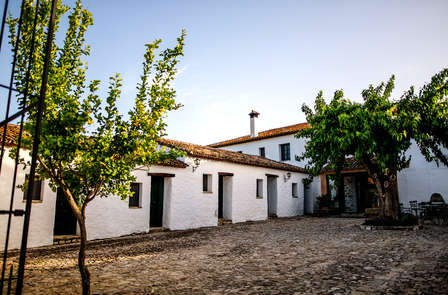 Séjour champêtre à deux pas de Ronda
