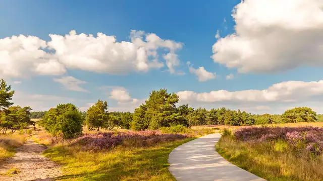Bienestar y relajación en Arnhem y la hermosa naturaleza de Veluwe