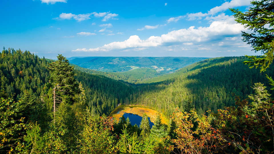 Parkhotel Luise Bad Herrenalb - EDIT_blackforest1.jpg