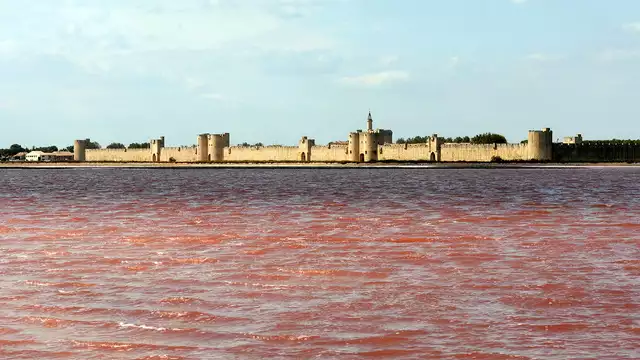 Ontdek de Camargues en de Tours d'Aigues-Mortes