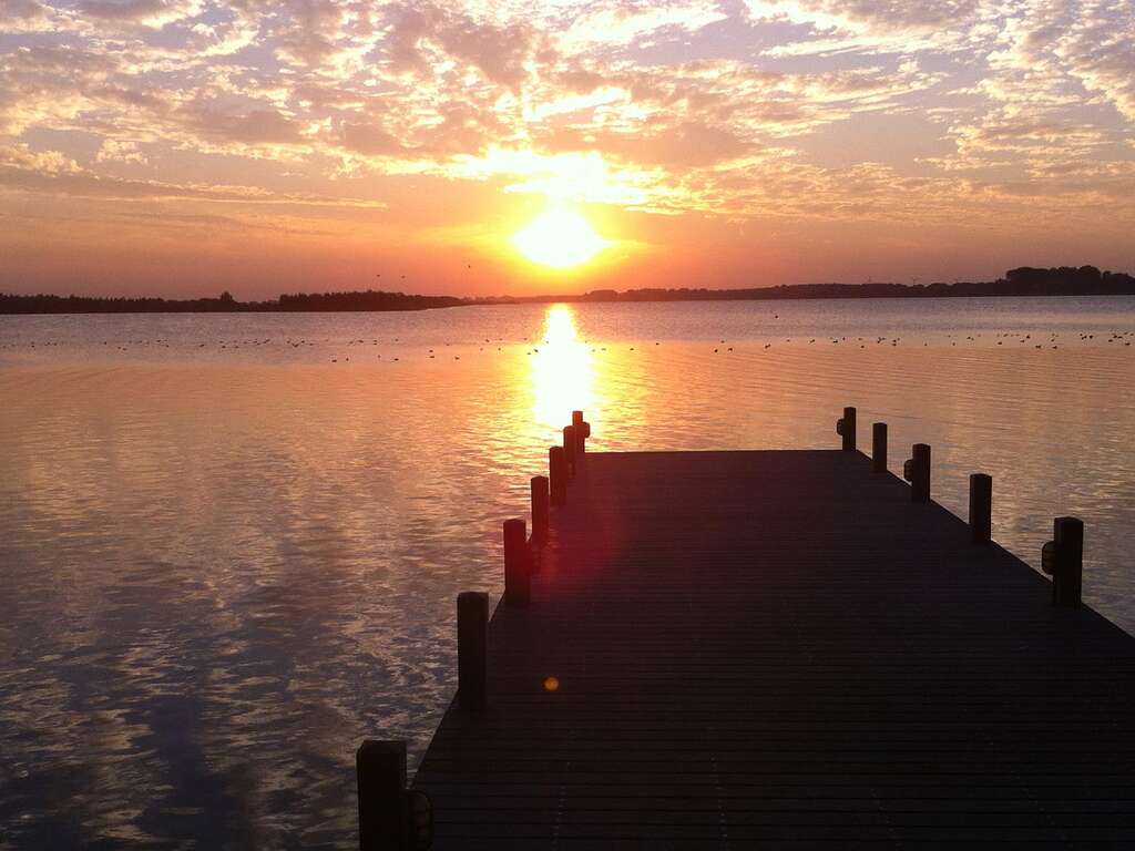 Week-end de détente à la Veluwemeer - 4* - 1