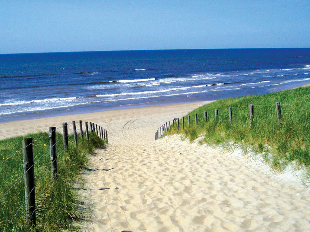 Détendez-vous et profitez d'une escapade au coeur des dunes néerlandaises - 4* - 5