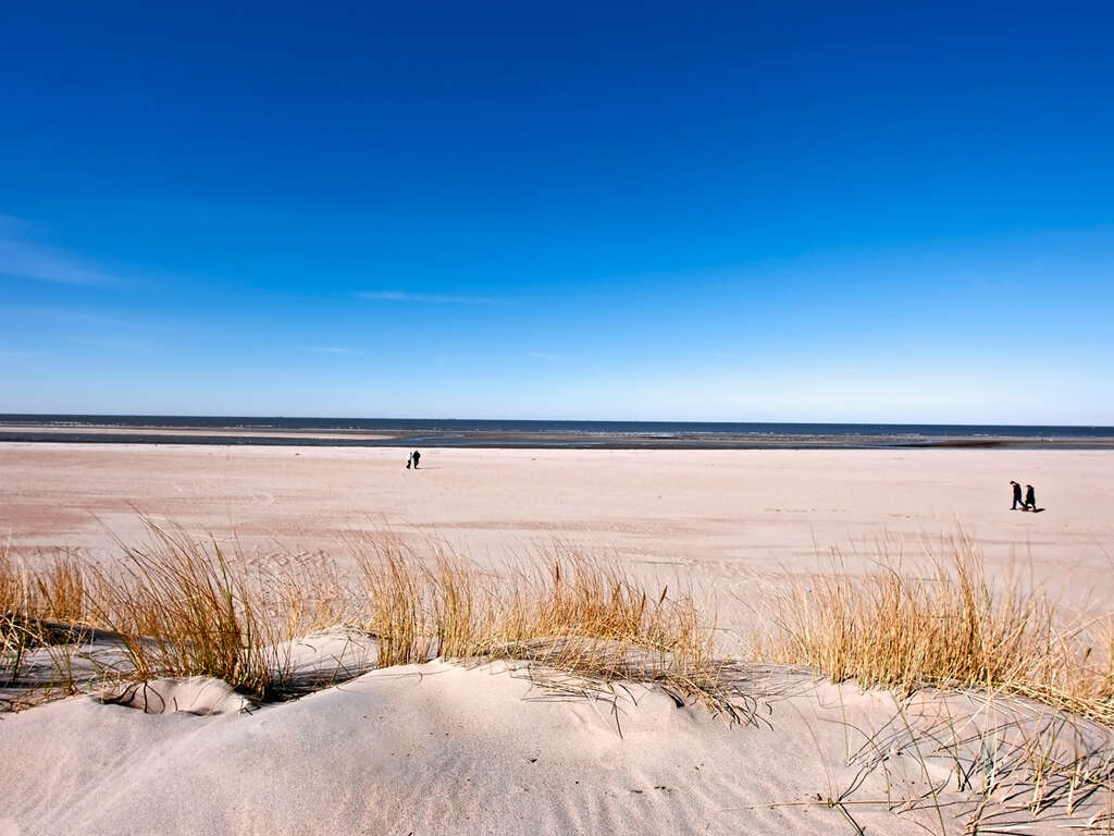 Détendez-vous et profitez d'une escapade au coeur des dunes néerlandaises - 4* - 11