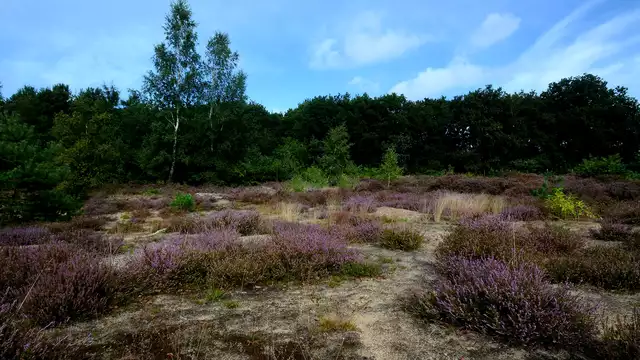 Relaxed overnachten in Drenthe