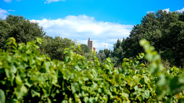 Agriturismo Il Piastrino