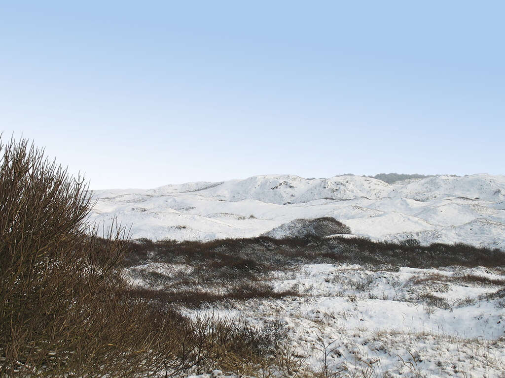Vacances près de la plage sur l'île idyllique de Texel - 3* - 1