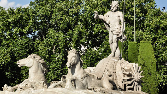 Elba Madrid Alcala