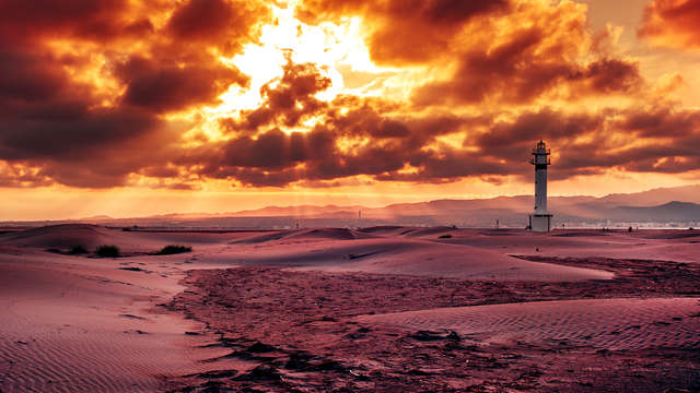 Especial enamorados: Crucero por el Delta del Ebro, cava, decoración romántica y salida tardía
