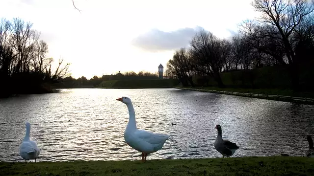 Er even tussenuit met z'n drieën in het historische Zeeland