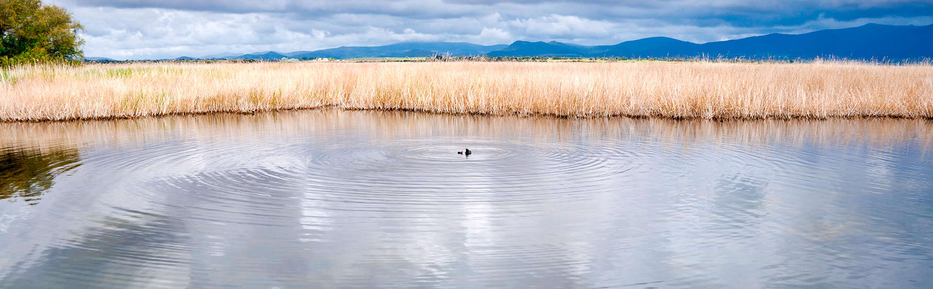 Escapade de charme avec visite guidée au parc naturel des Tablas de Daimiel.