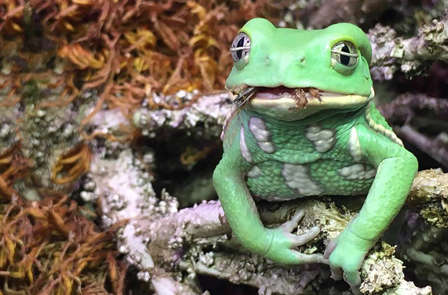 Weekend in Albir met tickets voor Terra Natura in Benidorm (vanaf 2 nachten)