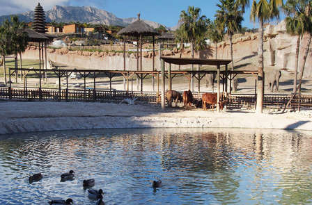 Entrée à Terra Nature Benidorm en famille (à partir de 2 nuits)