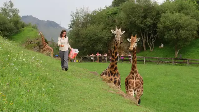 Compleet uitje met tickets voor het Cabárceno park en een diner (vanaf 2 nachten)