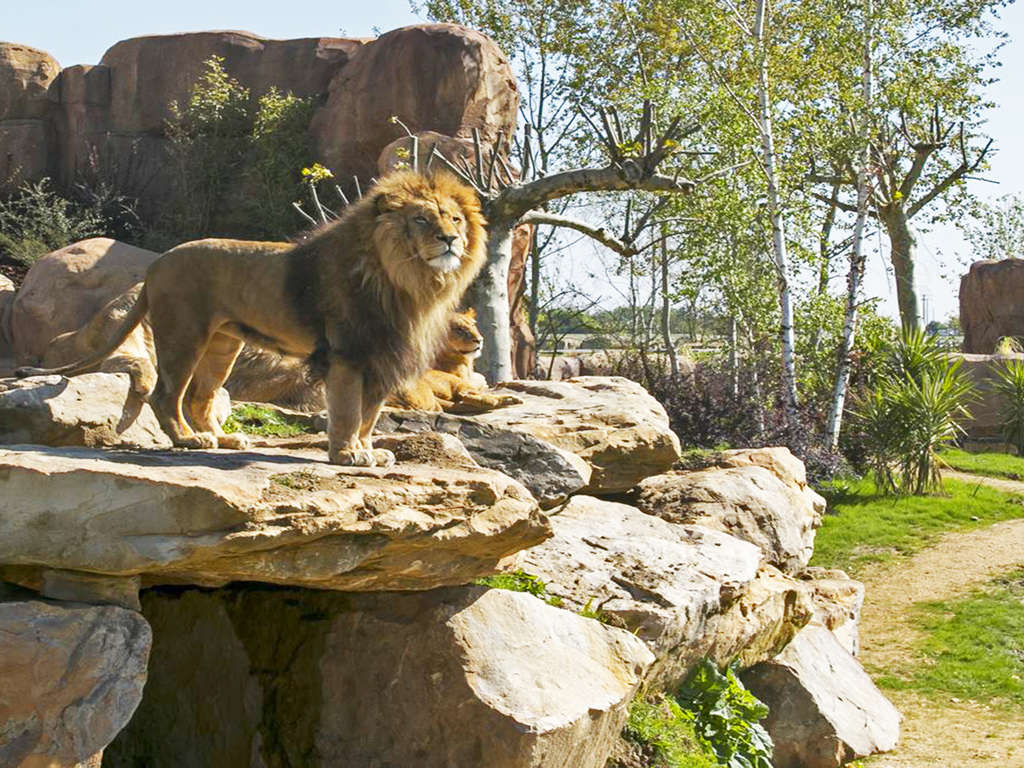 Appartement à la Roche-Posay avec visite du Zoo de Beauval en famille - 3* - 1