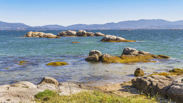 Sabores de las Rías Baixas: Escapada con cena en Pontevedra