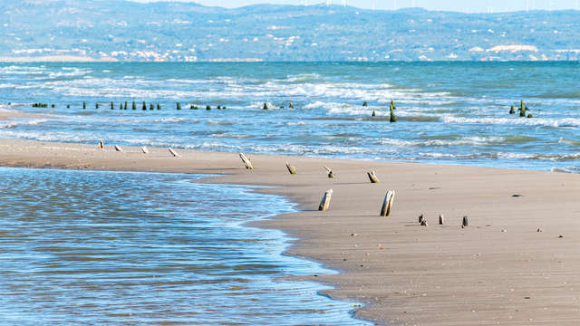 Enamórate del Delta con esta escapada romántica con crucero por el río