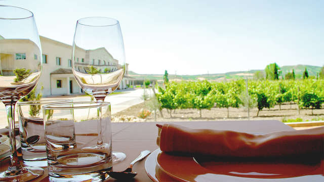 Escapada enológica con visita guiada a la Bodega Emina y cata de vino