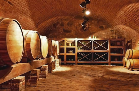 Verblijf met wijndegustatie dicht bij Valladolid