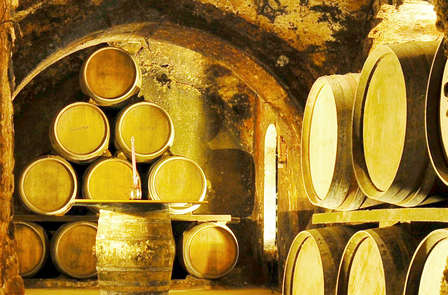 Week-end culturel avec visite de la cave David Moreno La Rioja Alta