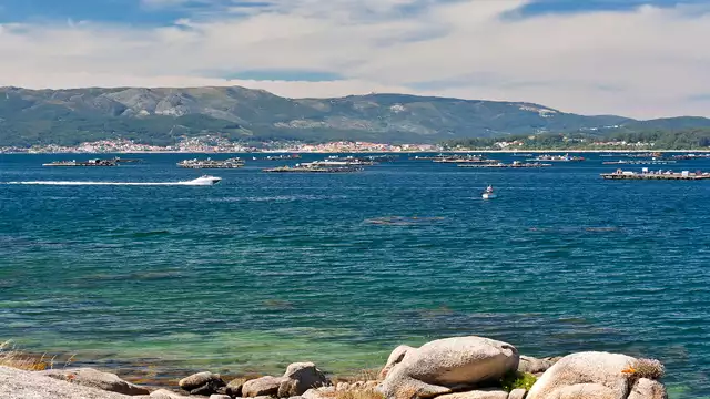 Fin de semana en Caldas de Reis con crucero por la Ría de Arousa