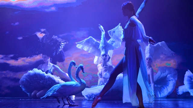 Estancia a las afueras de París y entradas para "La Plume", velada con cena en el cabaret Lido