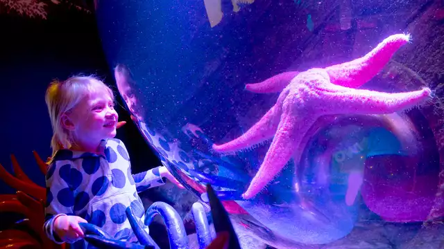 Scopri l'acquario Sea Life, vicino a Parigi