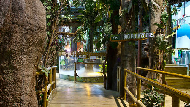 Escapada en familia con visita al Acuario Fluvial de Zaragoza