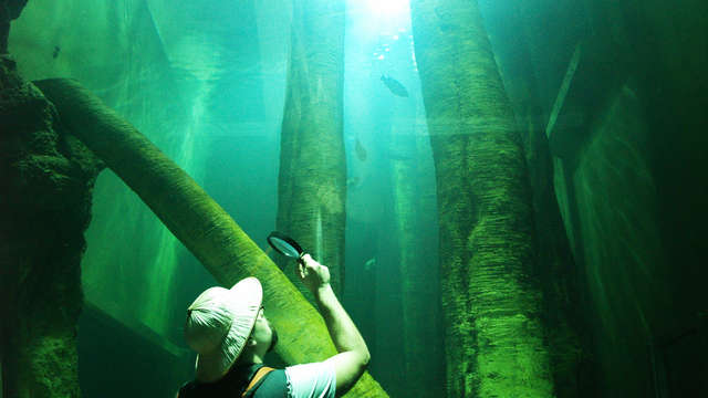 Descubre y explora los tesoros de Zaragoza y su acuario fluvial
