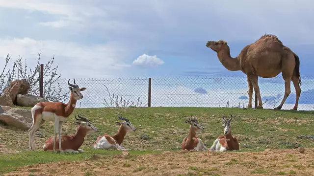 Découvrez la Drôme et le Safari Peaugres