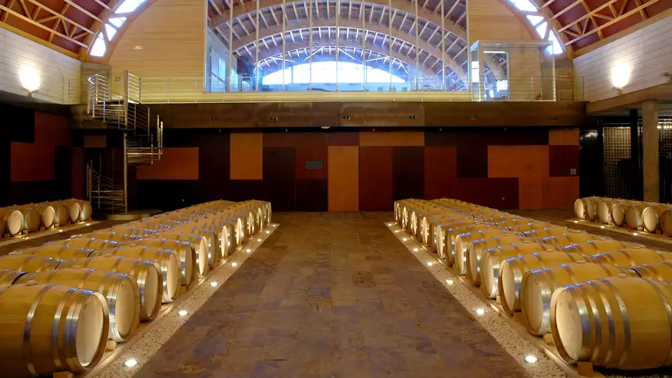 Escapada con visita a bodega y cata cerca de Ciudad Real