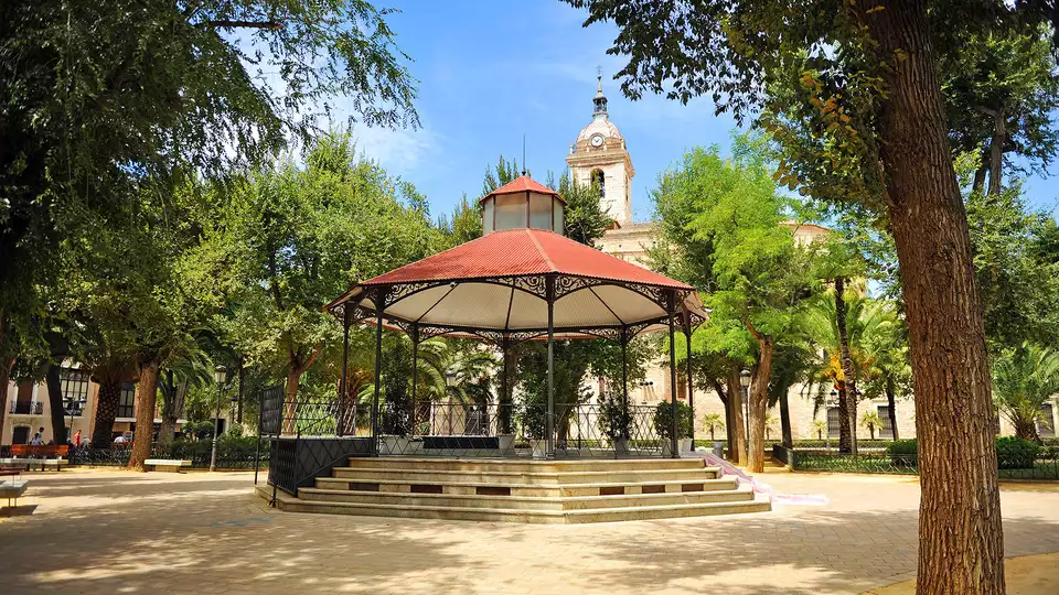Escapada Enologica con Cena Manchega y Visita a bodega