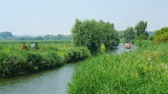 Ontdekking per boot van de natuurlijke schatten van het moeras van Auaomarois