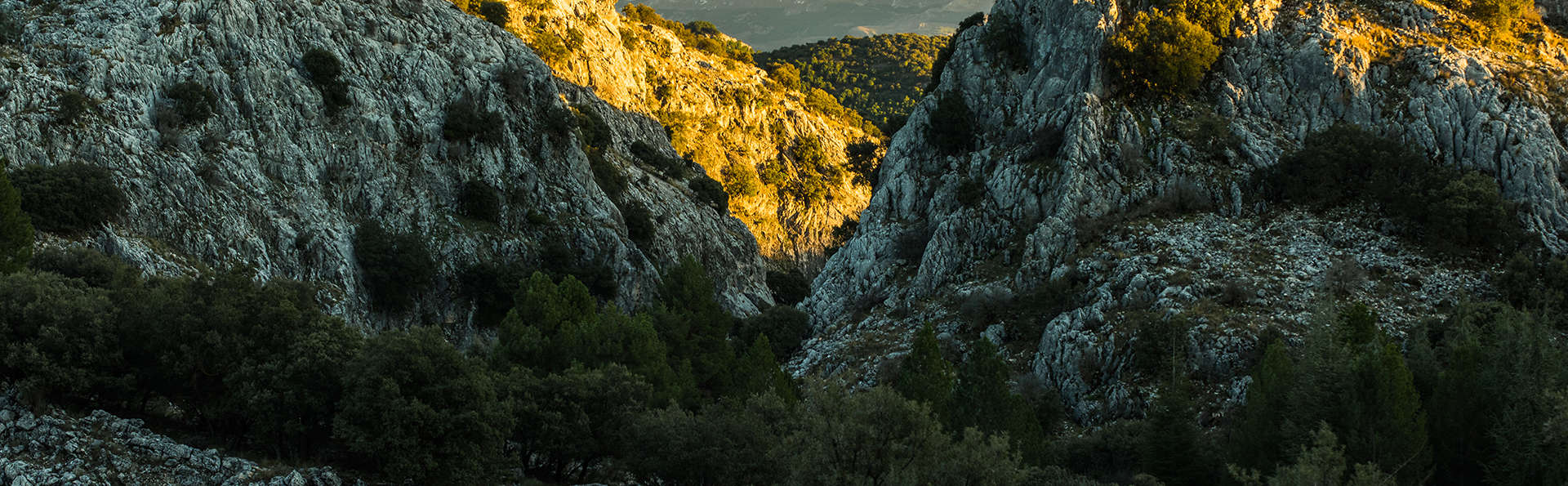 Hotel Los Manjares - Edit_Destination2.jpg