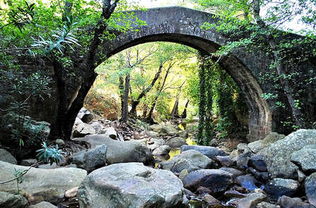 Excursie met een 4 x 4 in het natuurpark Estrecho y los Alcornocales