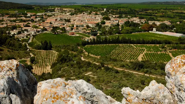 Séjour autour de l'œnologie à Tavel près d'Avignon, visite de cave et dégustation de vins locaux