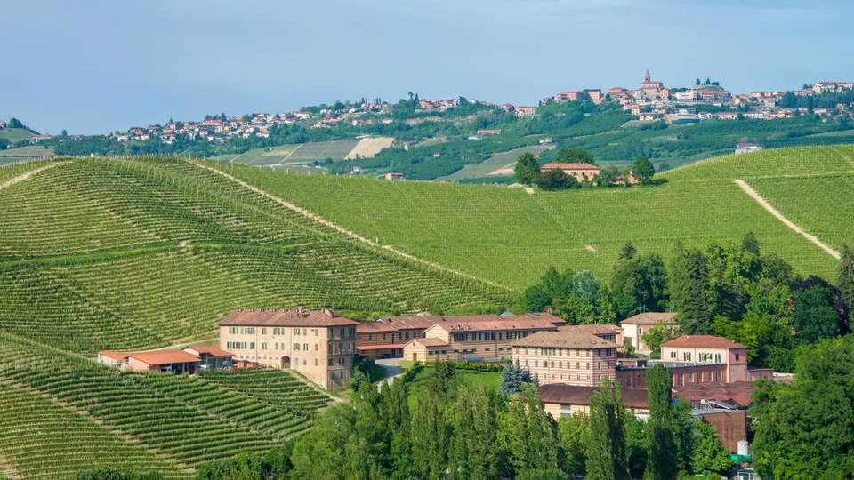 Duchessa Margherita