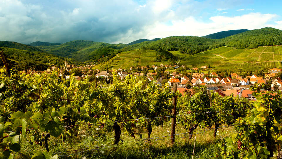 Escapade sur la Route des Vins d Alsace a partir de nuits