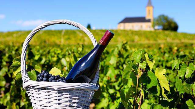 Escapada a Requena con visita a bodega y cata de vinos