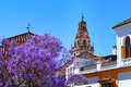 Hotel Los Patios