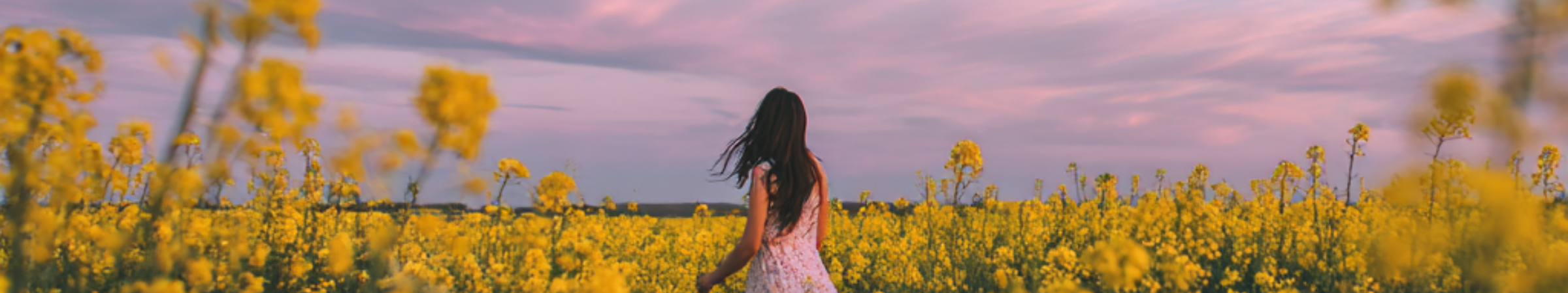 Idea regalo : weekend intorno a Columbus