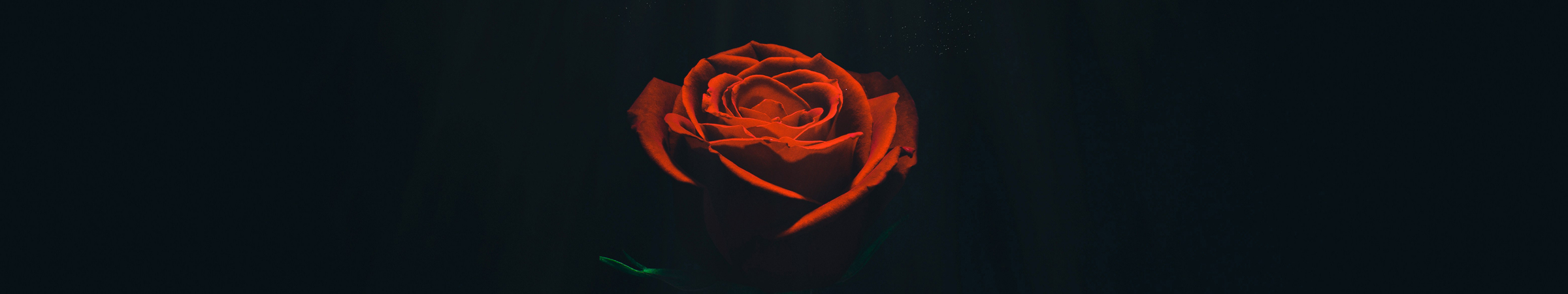 Idea regalo: escapadas cerca de Columbus